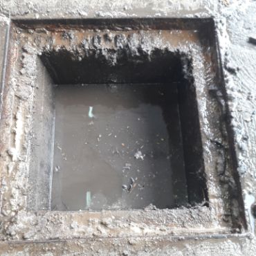 Destapacion de tapa cloacal
